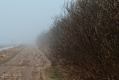 012_Biebrza - kwiecien 2011